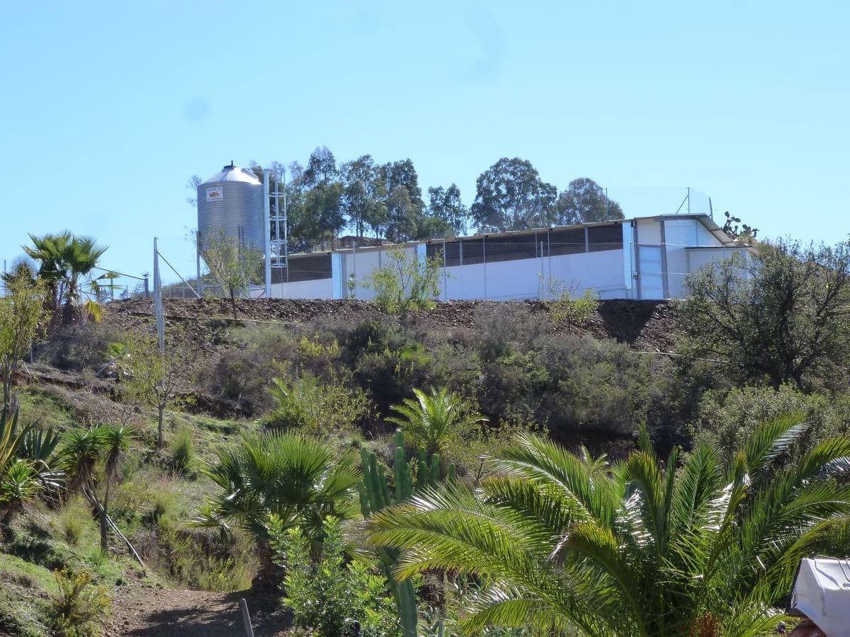 Terreno Não Urbanizado para venda em La Cala de Mijas - 900 000 € (Ref: 6969495)