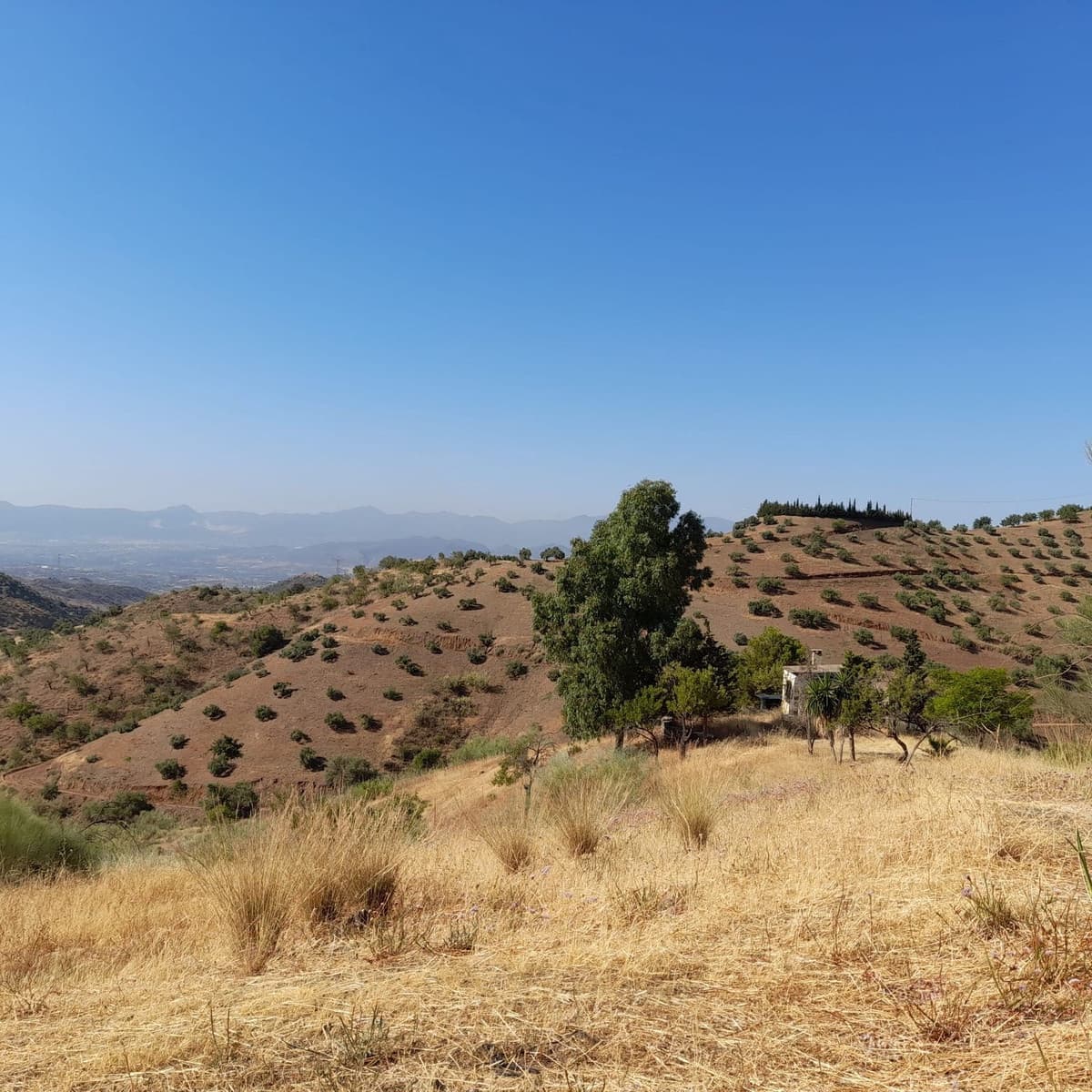 Undeveloped Land for sale in Estacion de Cartama - € 115,000 (Ref: 6980733)