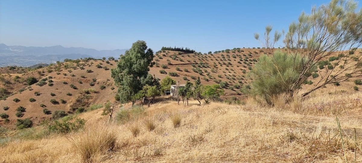 Undeveloped Land for sale in Estacion de Cartama - € 115,000 (Ref: 6980733)