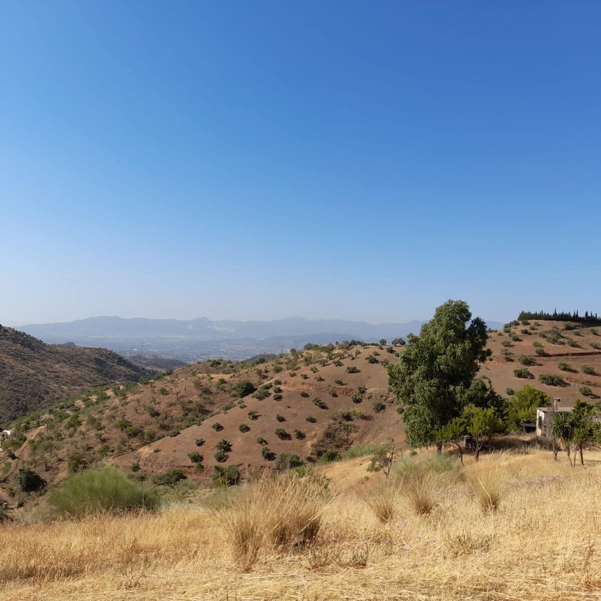 Terreno Non Edificato in vendita in Estacion de Cartama - 115.000 € (Rif: 6980733)
