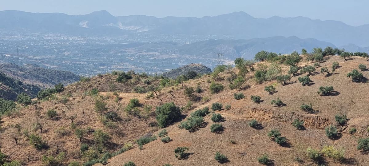 Terreno Non Edificato in vendita in Estacion de Cartama - 115.000 € (Rif: 6980733)