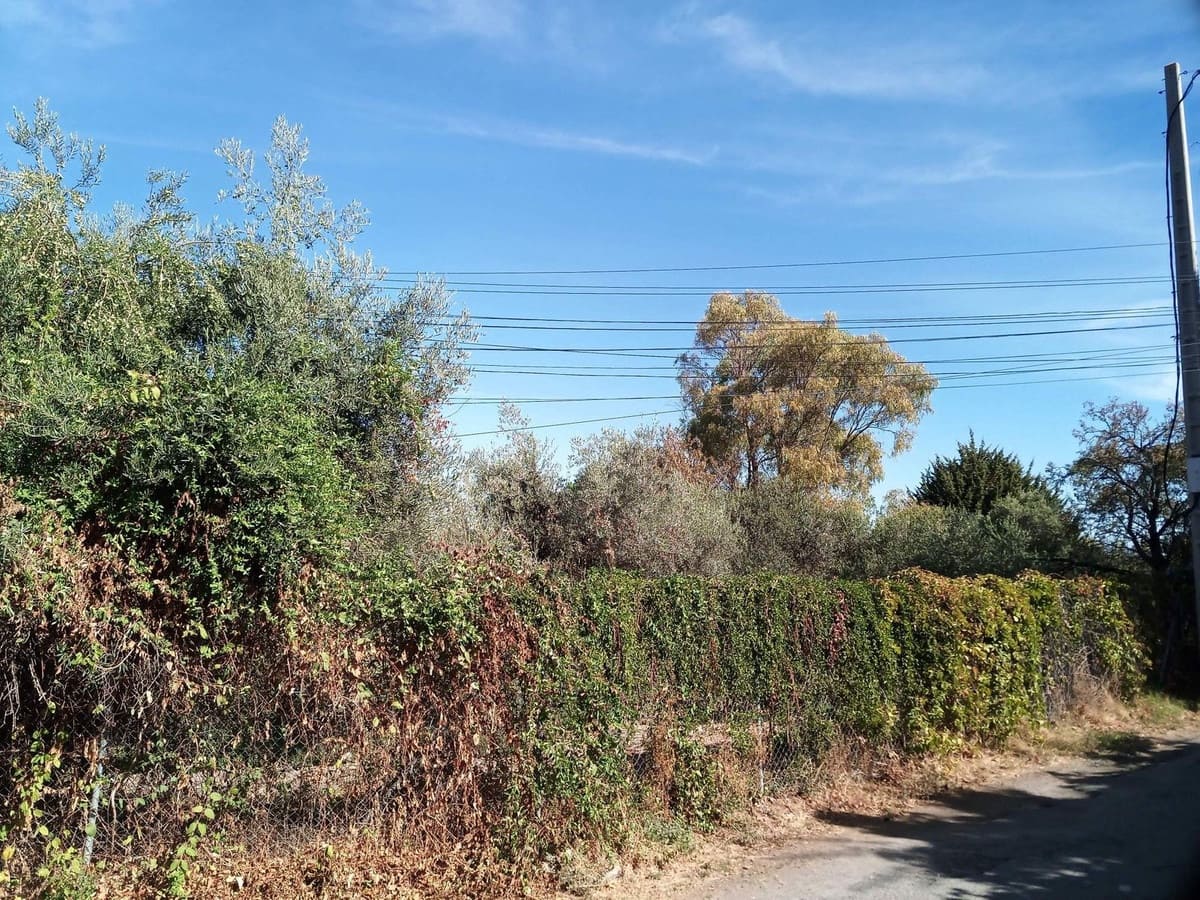 Grond te koop in Alhaurin el Grande - € 120.000 (Ref: 7124749)