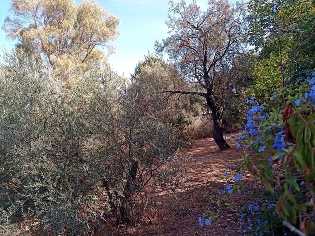 Terreno Non Edificato in vendita in Alhaurín el Grande - 120.000 € (Rif: 7124749)