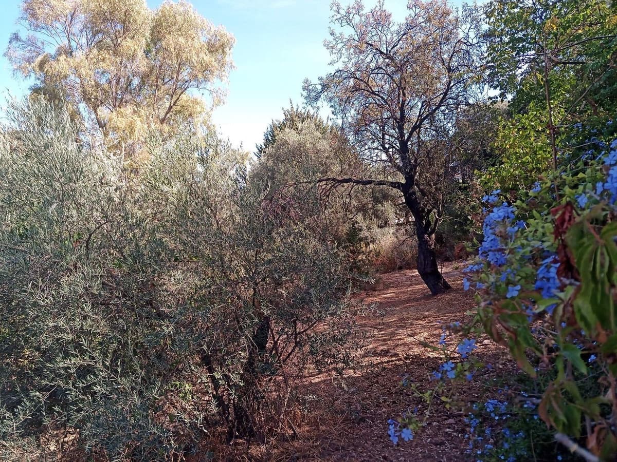 Undeveloped Land for sale in Alhaurin el Grande - € 120,000 (Ref: 7124749)