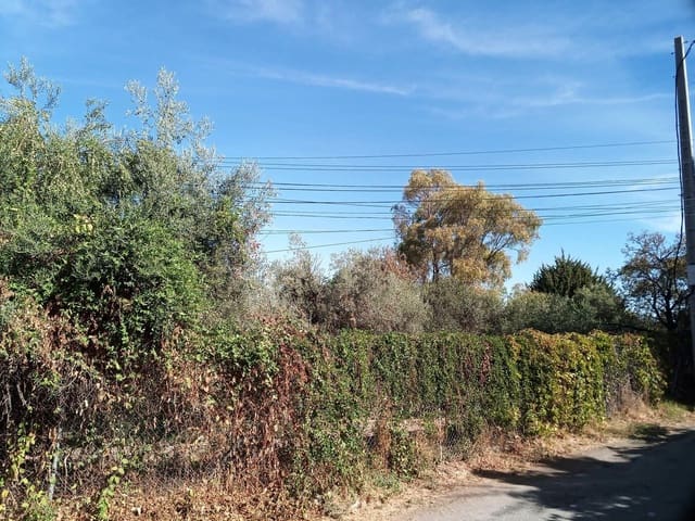 Grunde uden byggetilladelser til salg i Alhaurín el Grande - € 120.000 (Ref: 7124749)