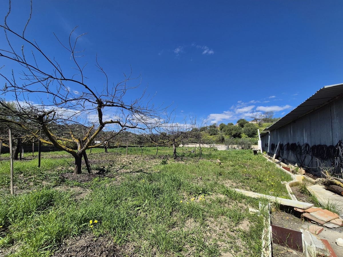6 chambre Finca/Maison de Campagne à vendre à Coin avec piscine garage - 2 200 000 € (Ref: 8905772)