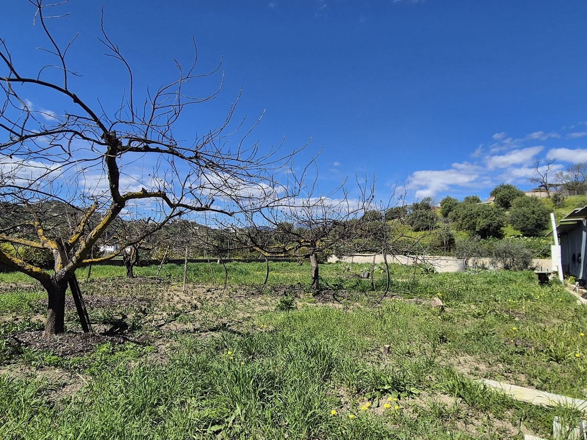 6 chambre Finca/Maison de Campagne à vendre à Coin avec piscine garage - 2 200 000 € (Ref: 8905772)