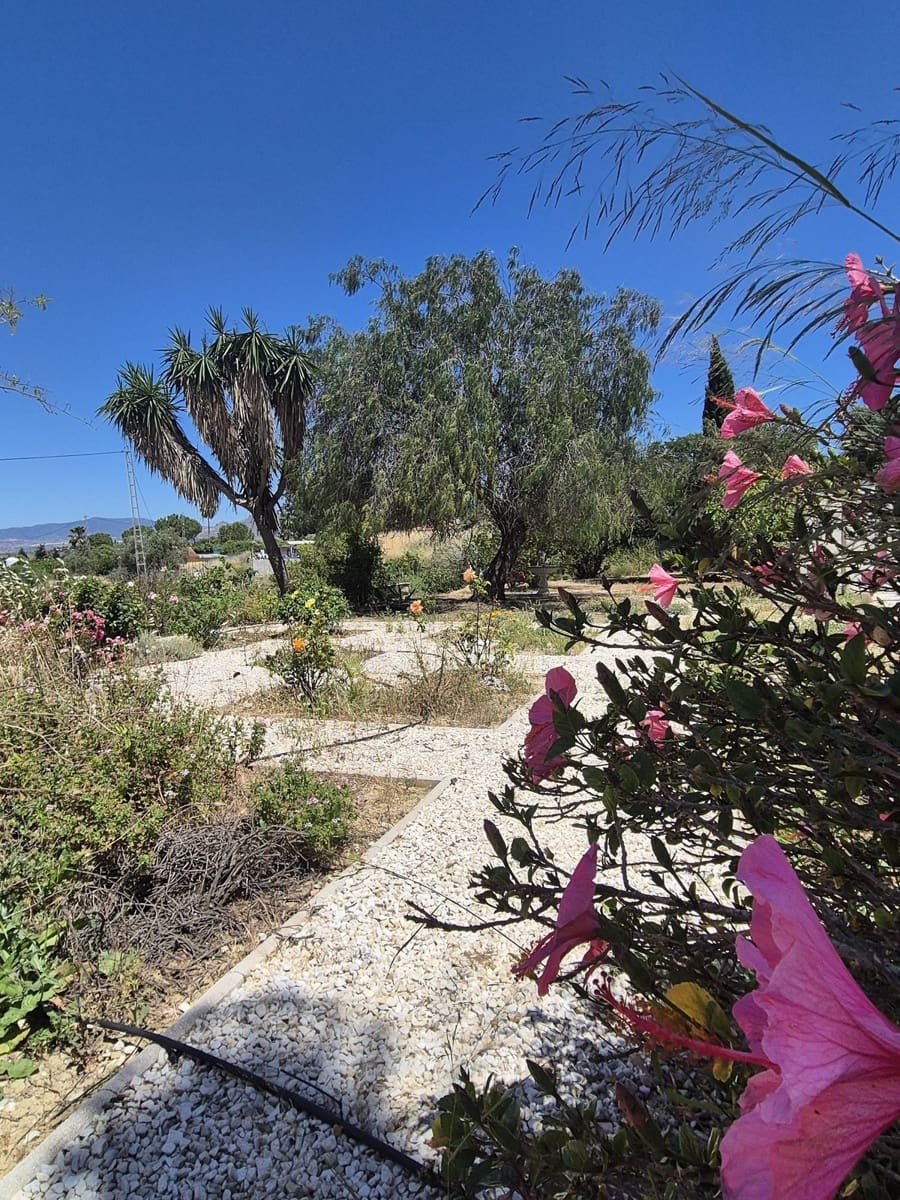 3 chambre Finca/Maison de Campagne à vendre à Cartama avec piscine garage - 349 500 € (Ref: 9004053)