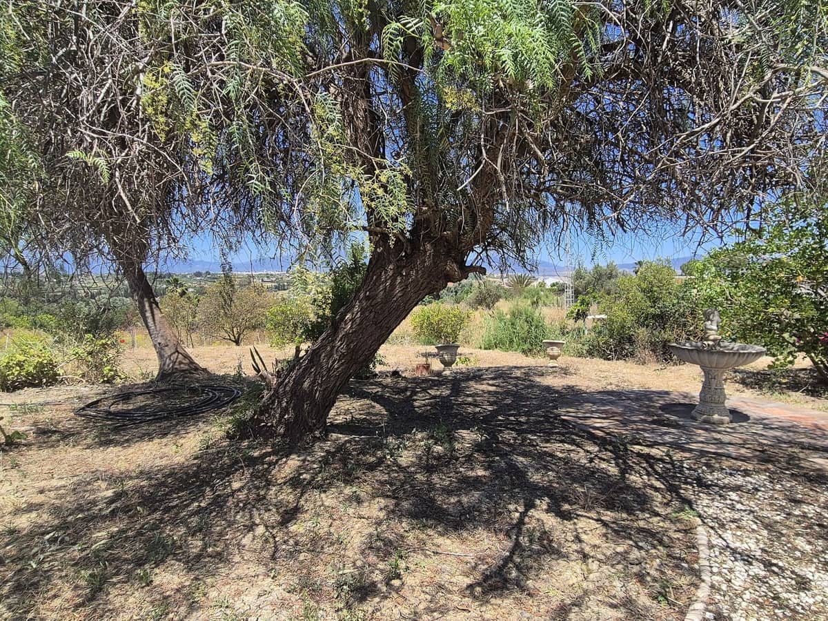 3 chambre Finca/Maison de Campagne à vendre à Cartama avec piscine garage - 349 500 € (Ref: 9004053)