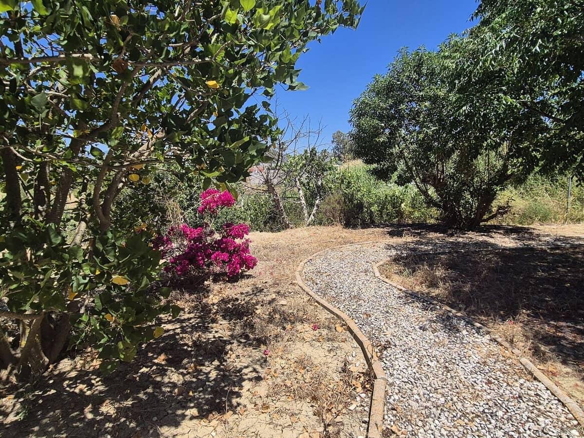 3 chambre Finca/Maison de Campagne à vendre à Cartama avec piscine garage - 349 500 € (Ref: 9004053)