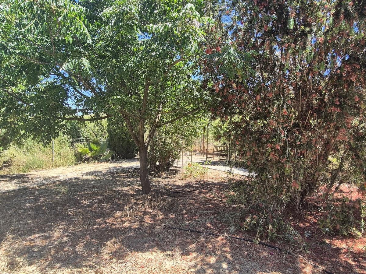 3 chambre Finca/Maison de Campagne à vendre à Cartama avec piscine garage - 349 500 € (Ref: 9004053)