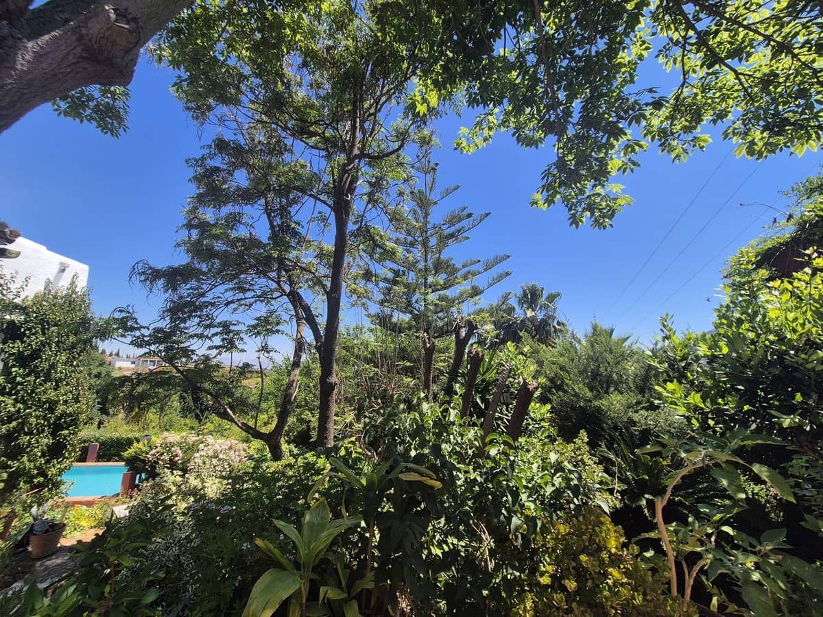 3 quarto Quinta/Casa Rural para venda em Alhaurin el Grande com piscina garagem - 680 000 € (Ref: 9013083)