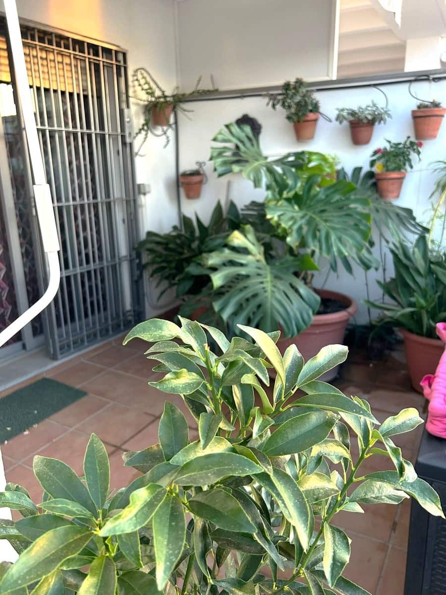 2 soverom Penthouse til salgs i Alhaurin el Grande med garasje - € 349 000 (Ref: 9233861)