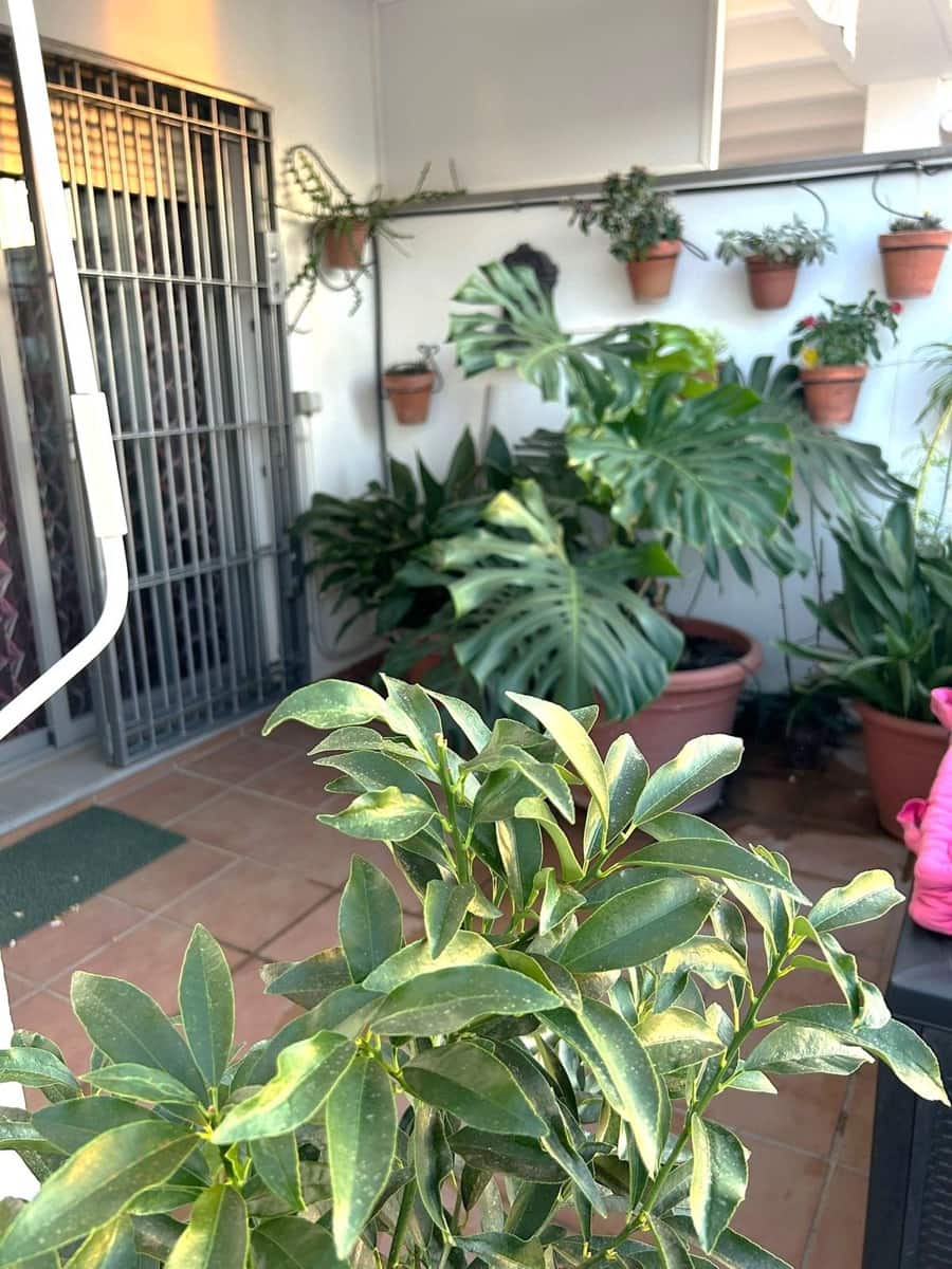 Ático de 2 habitaciones en Alhaurín el Grande en venta con garaje - 349.000 € (Ref: 9233861)