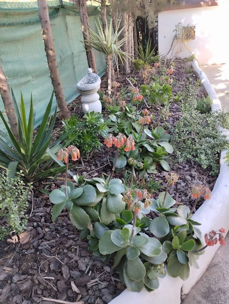 Finca/Casa Rural de 3 habitaciones en Estación de Cártama en venta con piscina garaje - 370.000 € (Ref: 9301990)