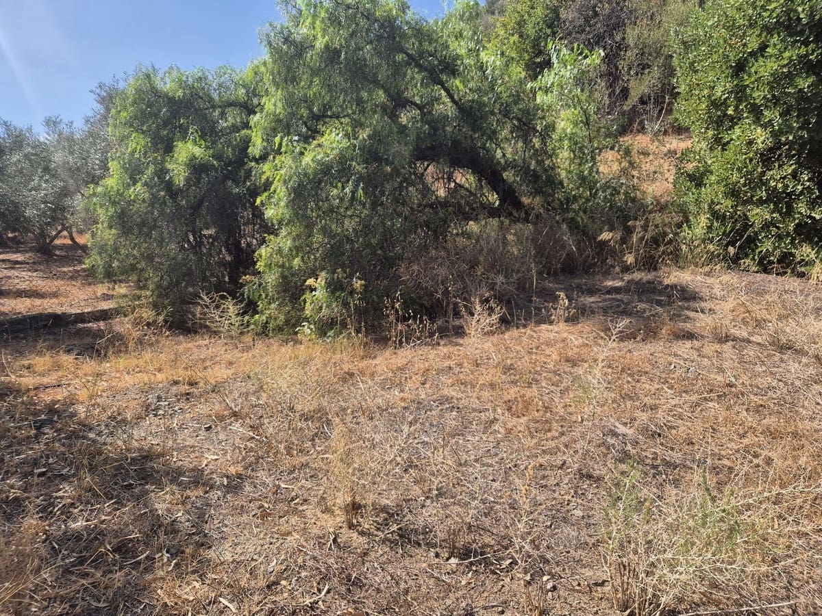 Finca/Casa Rural de 3 habitaciones en Estación de Cártama en venta con piscina garaje - 370.000 € (Ref: 9301990)