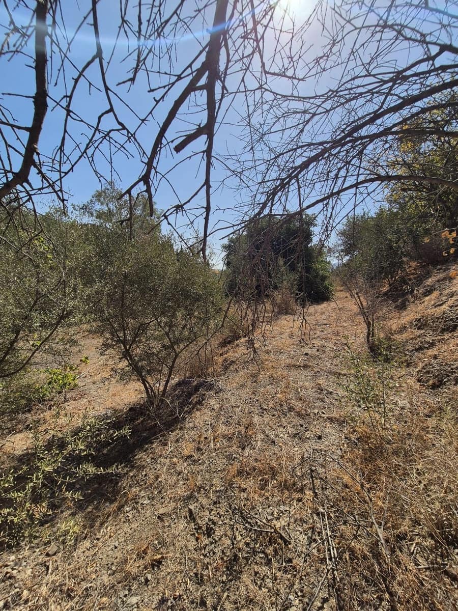 Finca/Casa Rural de 3 habitaciones en Estación de Cártama en venta con piscina garaje - 370.000 € (Ref: 9301990)