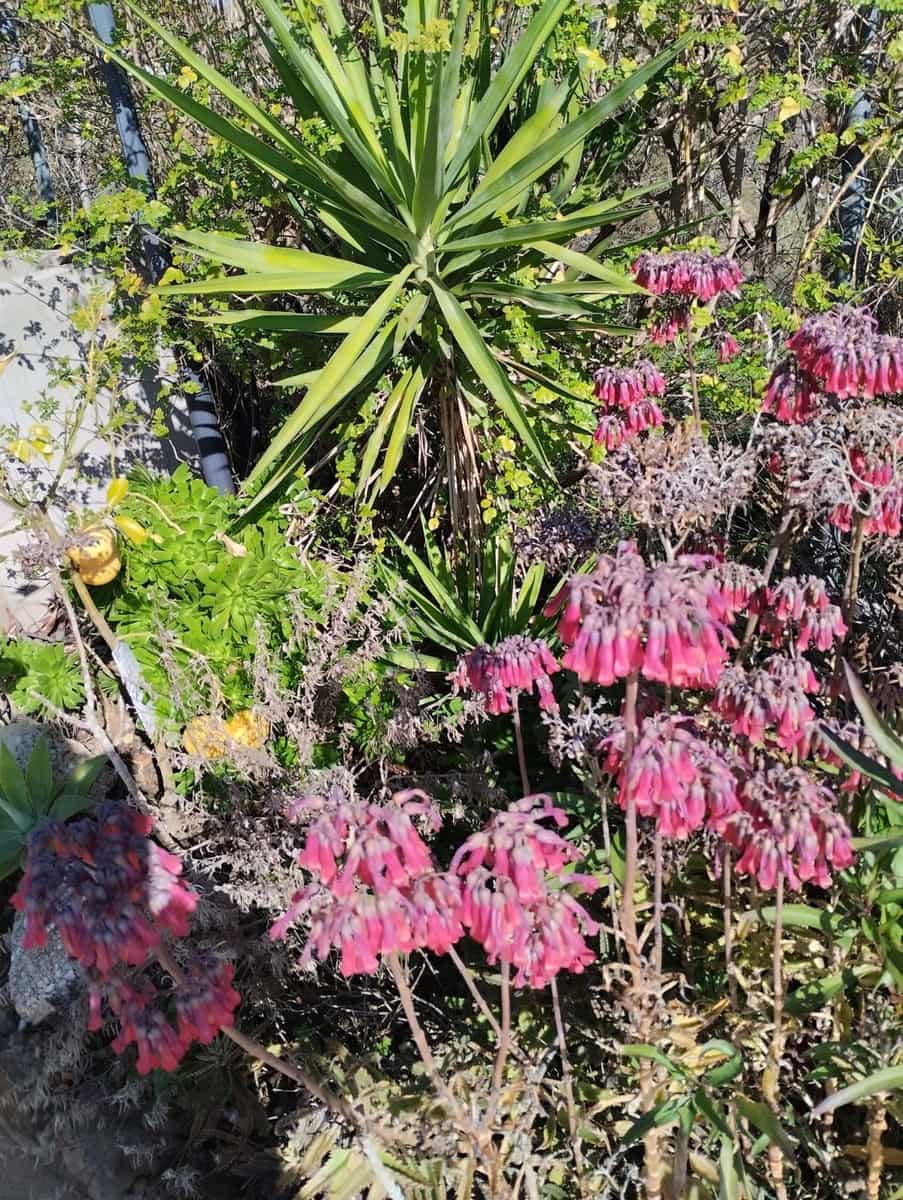 3 Zimmer Finca/Landgut zu verkaufen in Estacion de Cartama mit Pool Garage - 370.000 € (Ref: 9301990)