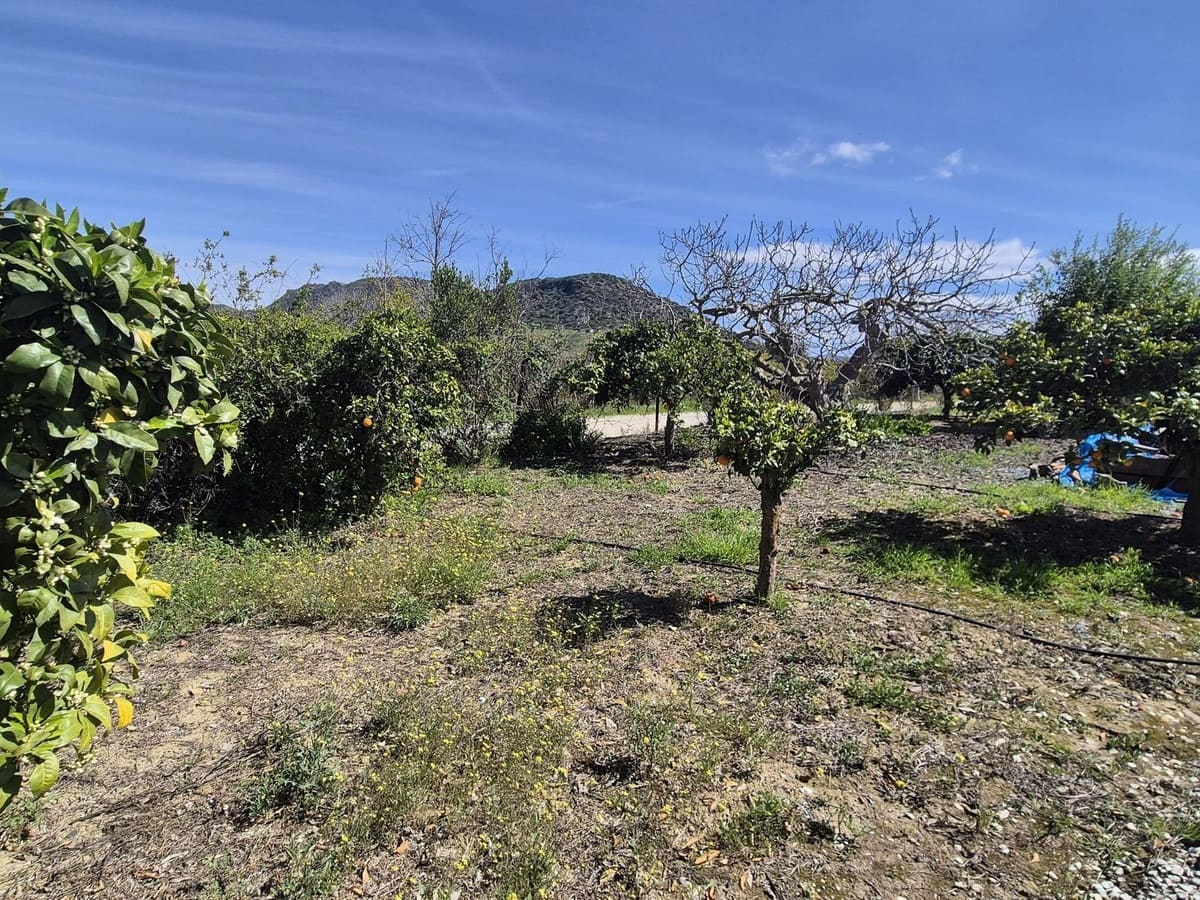 3 camera da letto Finca/Casa di Campagna in vendita in Cartama con piscina garage - 369.000 € (Rif: 9687522)