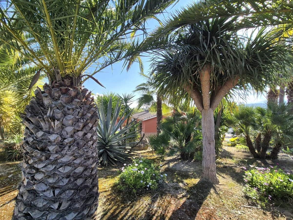 2 bedroom Finca/Country House for sale in Alhaurin el Grande with pool garage - € 365,000 (Ref: 9716672)