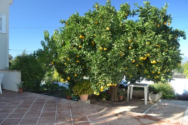 7 soverom Hotell til salgs i Alhaurín de la Torre med svømmebasseng garasje - € 850 000 (Ref: 9999035)