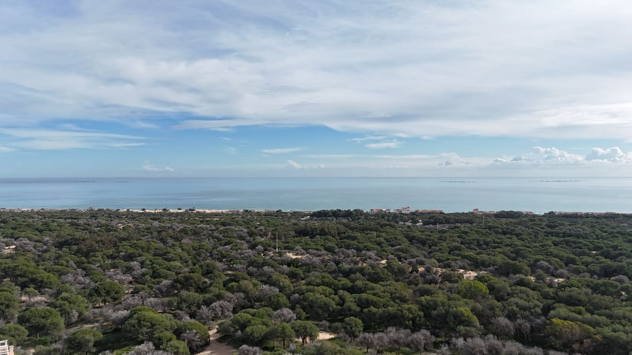 Terreno para Construção para venda em Guardamar del Segura - 999 000 € (Ref: 9736249)