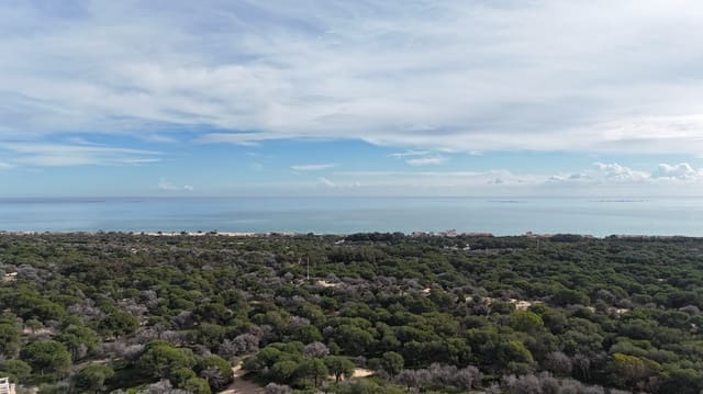 Terreno para Construção para venda em El Edén, Guardamar del Segura - 999 000 € (Ref: 9736249)