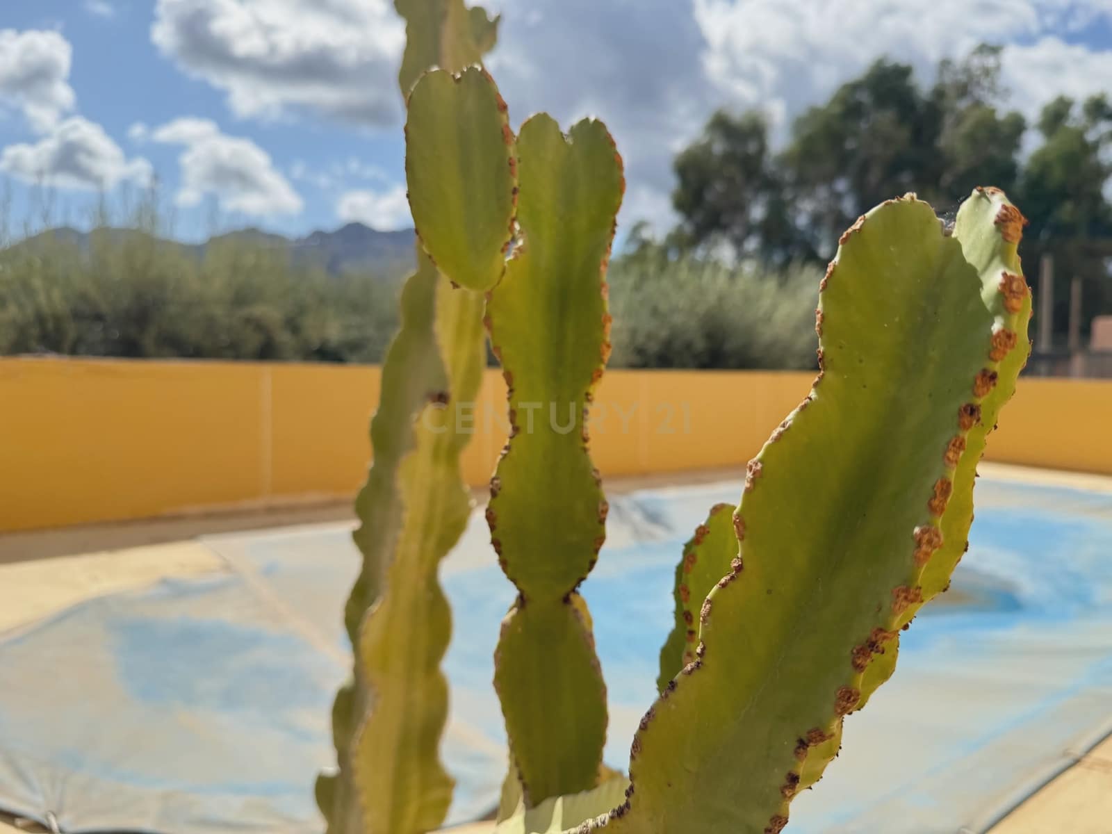 5 sypialnia Willa na sprzedaż w Turre z basenem - 257 800 € (Ref: 9296431)