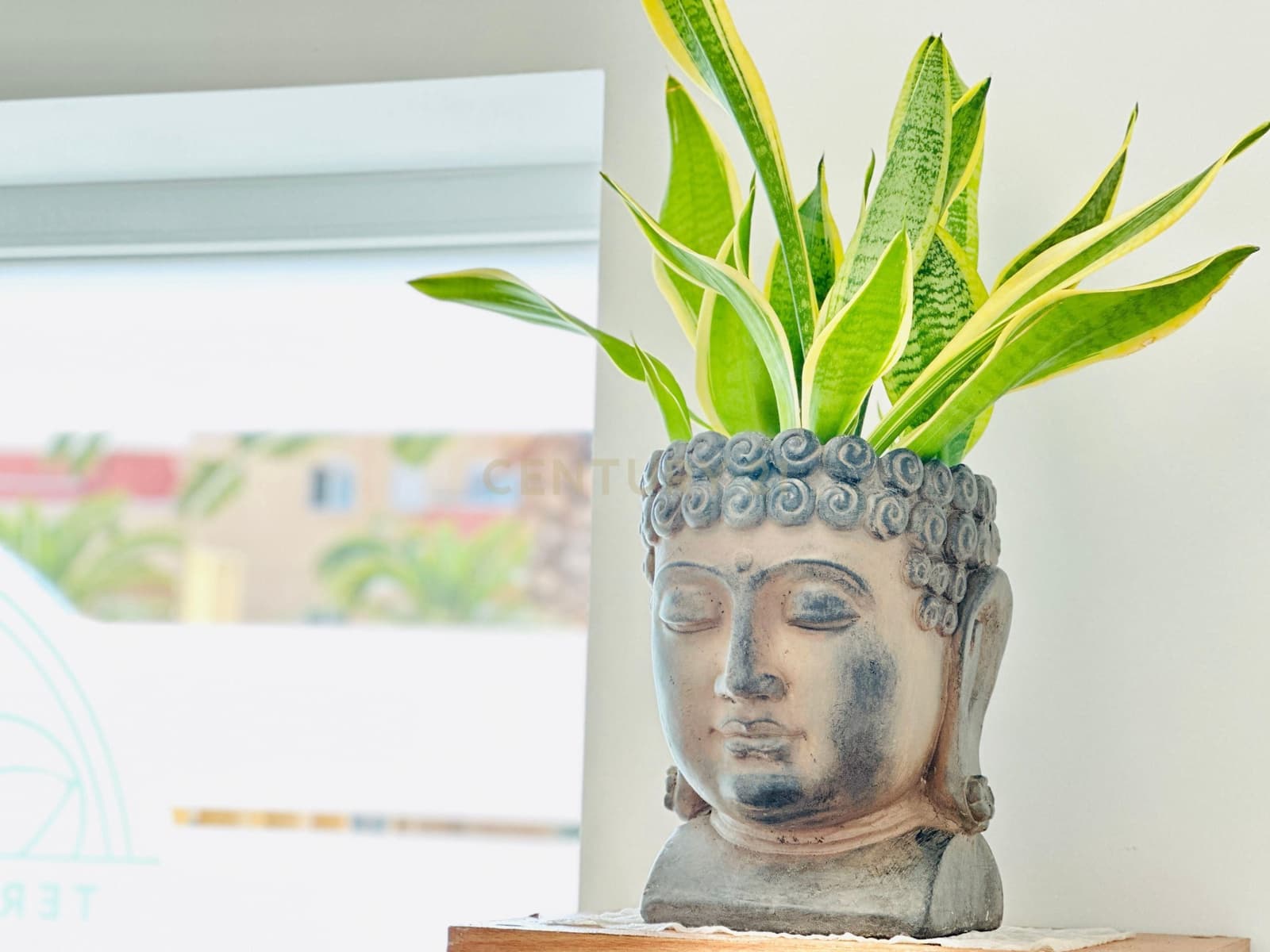 Comercial para venda em El Ejido - 350 000 € (Ref: 9296433)