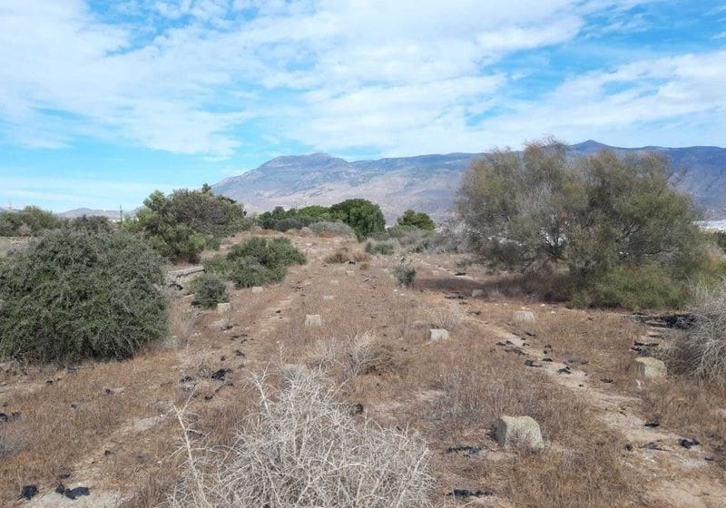 Undeveloped Land for sale in El Ejido - € 35,000 (Ref: 9296443)