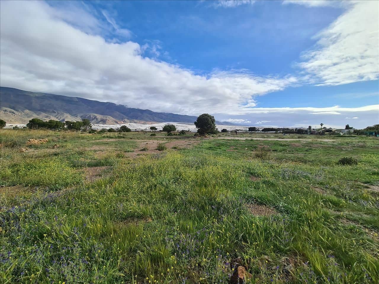 Bauplatz zu verkaufen in El Ejido - 53.000 € (Ref: 9296451)