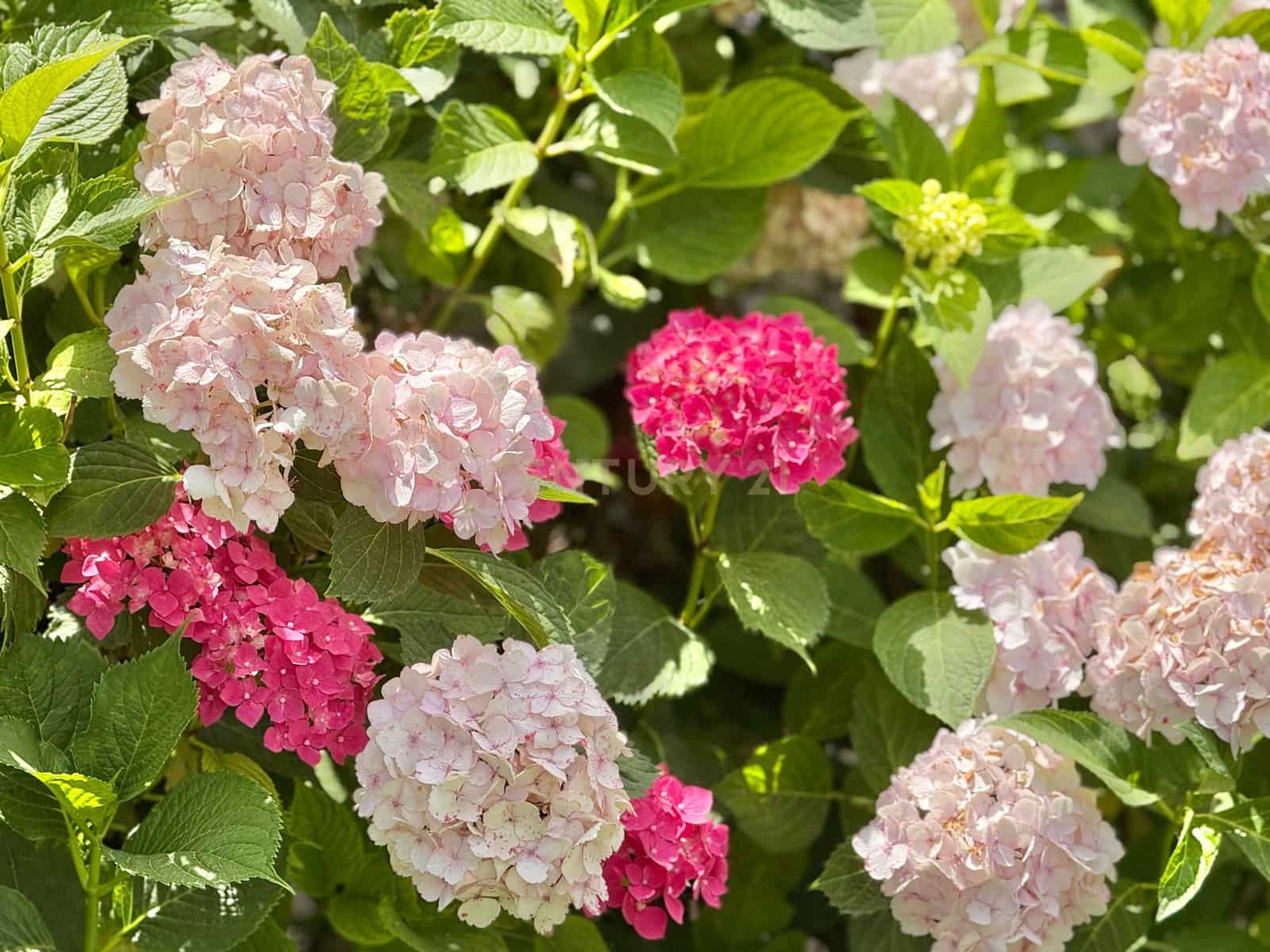 7 soveværelse Byhus til salg i Valor - € 80.900 (Ref: 9338777)