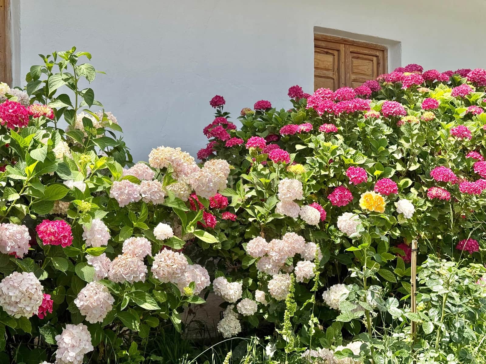 7 soveværelse Byhus til salg i Valor - € 80.900 (Ref: 9338777)