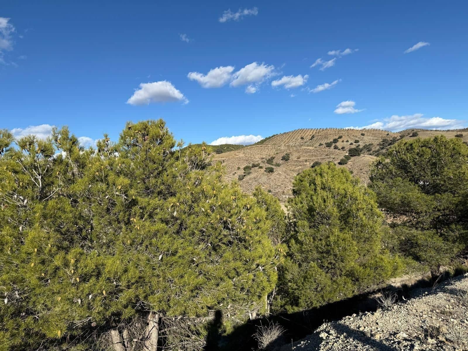 Finca/Hus på landet till salu i Velez-Rubio - 126 800 € (Ref: 9413229)