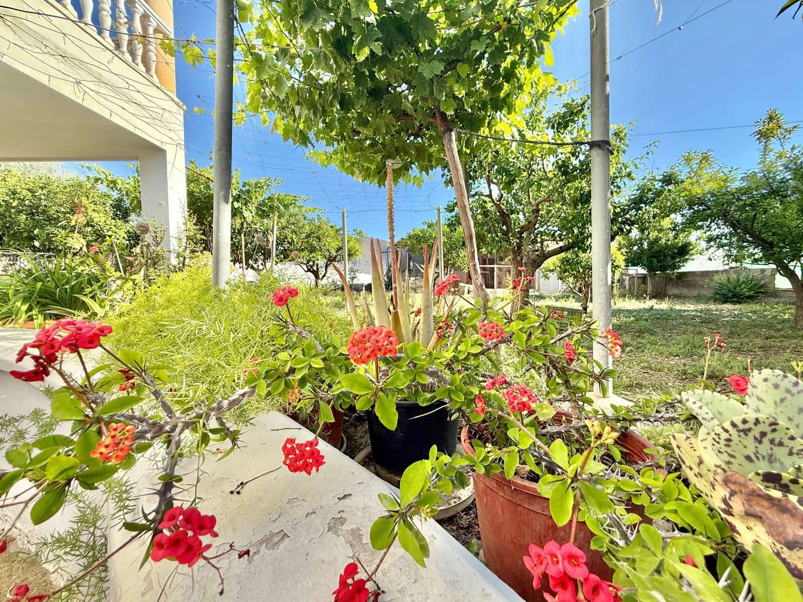 4 sypialnia Finka/Dom wiejski na sprzedaż w Berja z garażem - 379 800 € (Ref: 9471661)