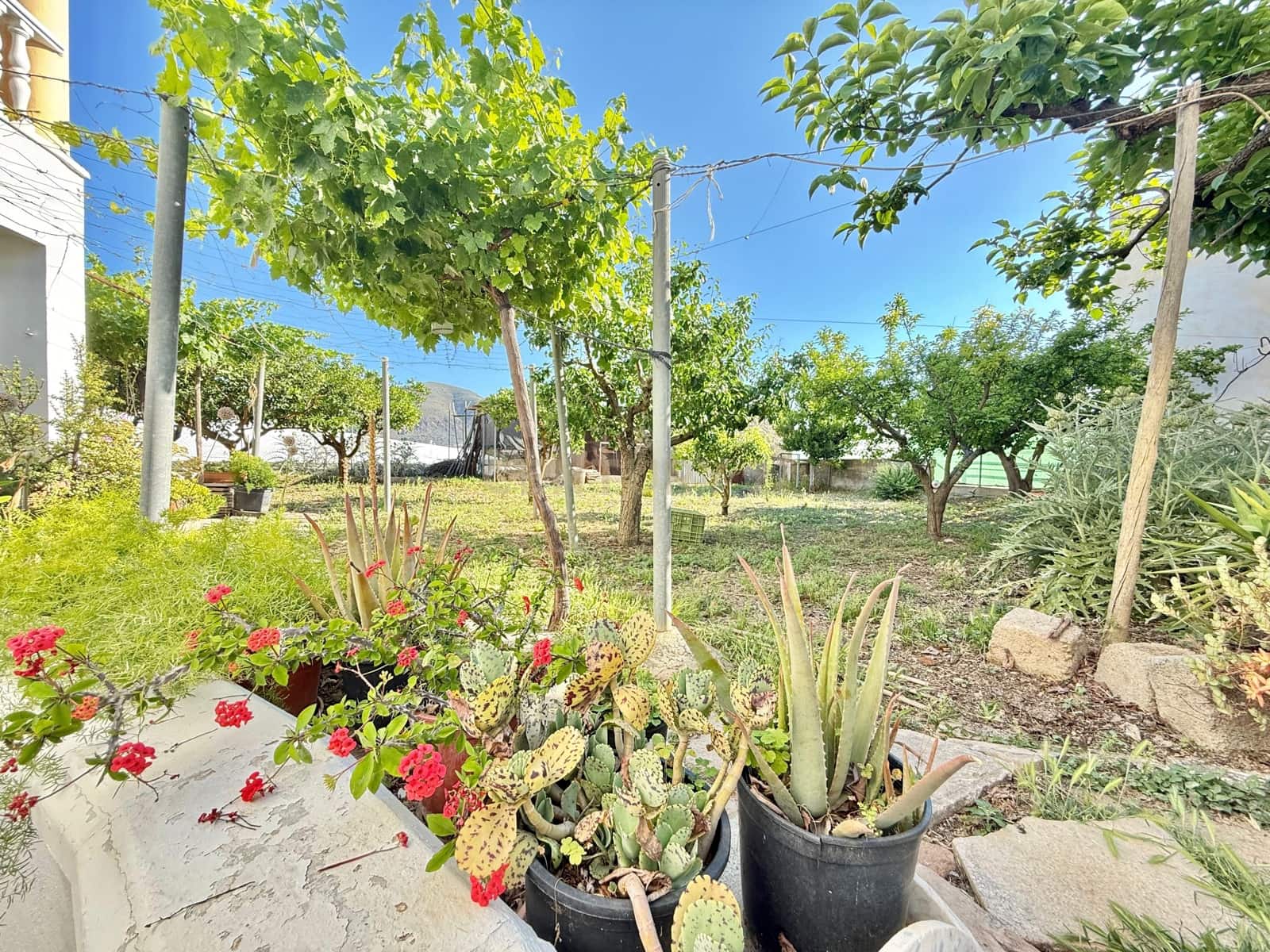 4 sypialnia Finka/Dom wiejski na sprzedaż w Berja z garażem - 379 800 € (Ref: 9471661)