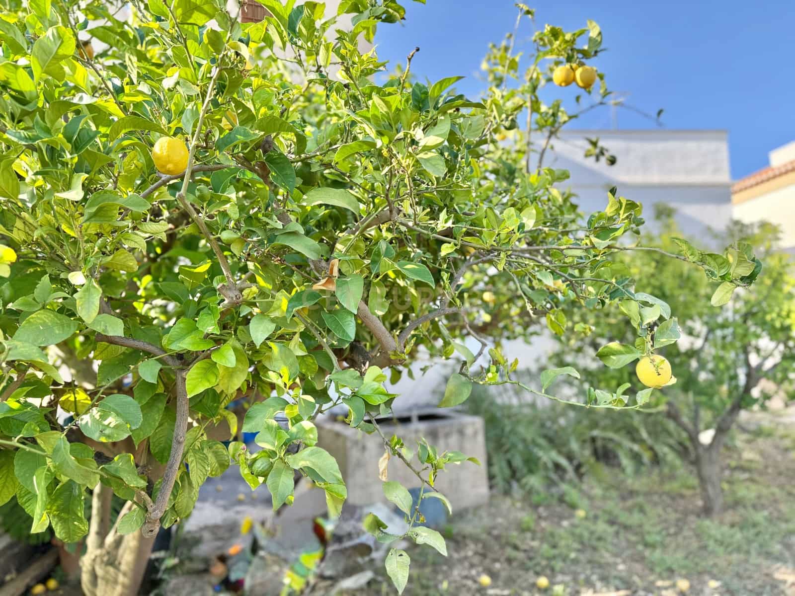 4 sypialnia Finka/Dom wiejski na sprzedaż w Berja z garażem - 379 800 € (Ref: 9471661)