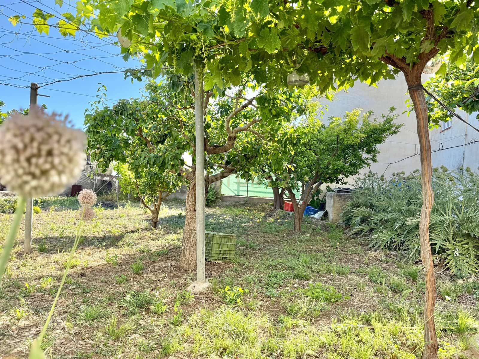 4 sypialnia Finka/Dom wiejski na sprzedaż w Berja z garażem - 379 800 € (Ref: 9471661)