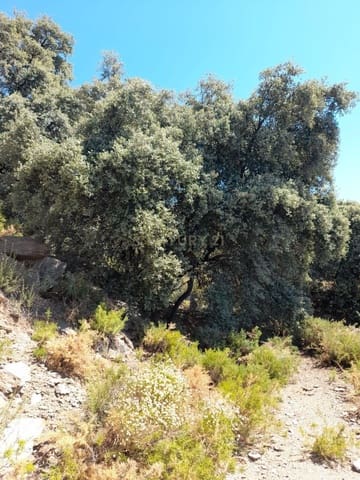 Finca/Herregård til salgs i Nevada - € 25 000 (Ref: 9731354)