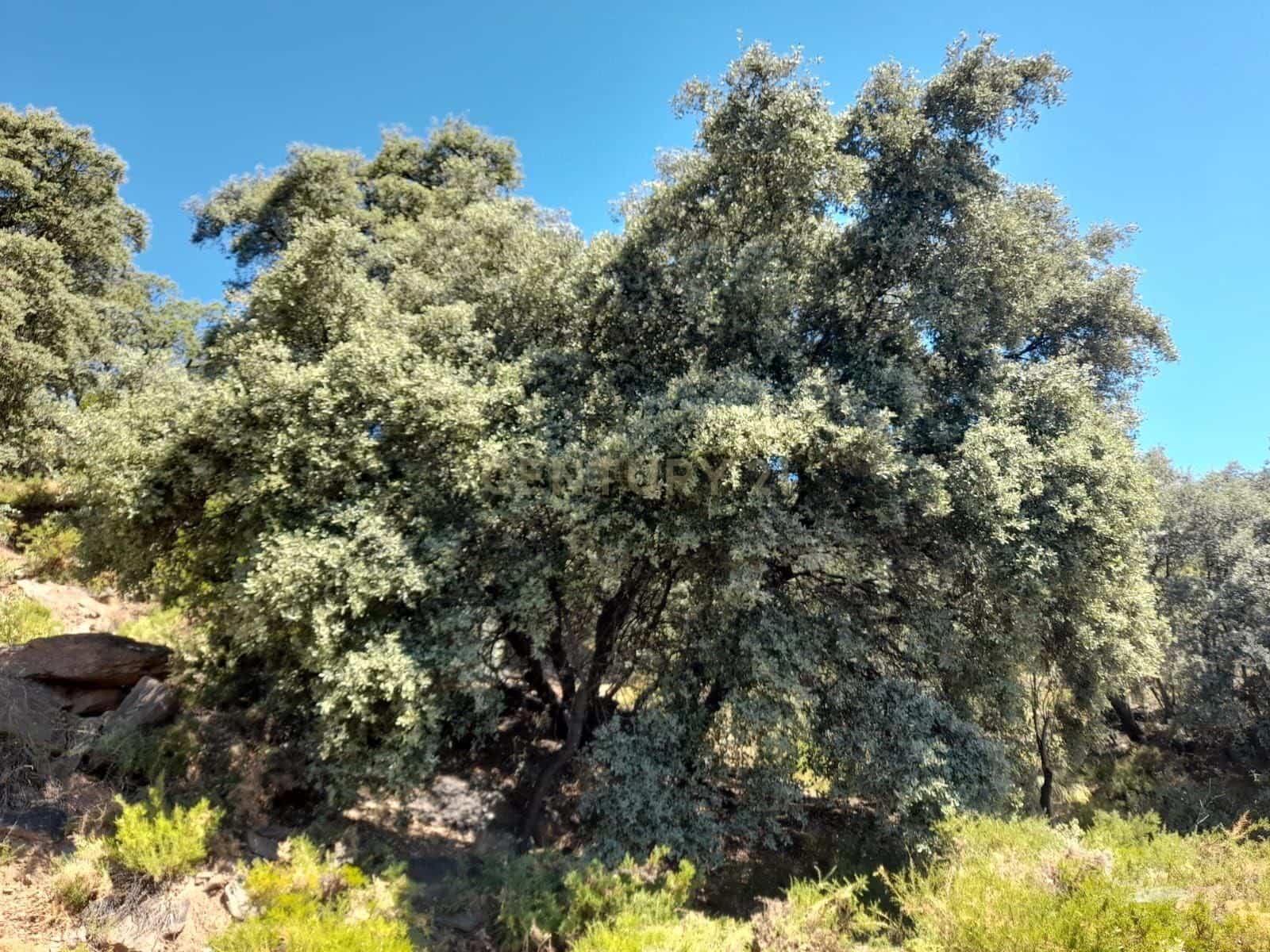 Finca/Herregård til salgs i Nevada - € 25 000 (Ref: 9731354)