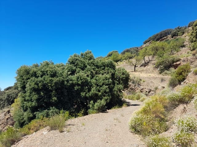 Finca/Herregård til salgs i Nevada - € 25 000 (Ref: 9731354)