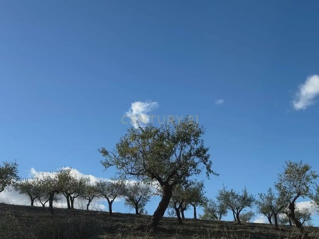 3 soverom Finca/Herregård til salgs i Vélez-Rubio - € 99 900 (Ref: 9787579)