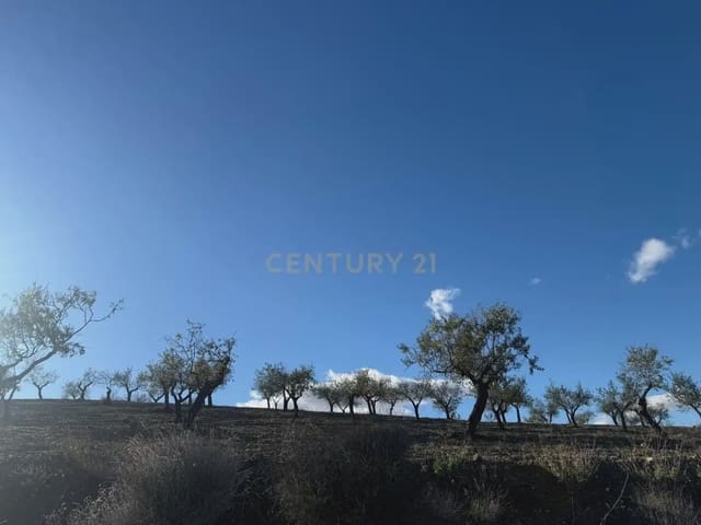 3 soverom Finca/Herregård til salgs i Vélez-Rubio - € 99 900 (Ref: 9787579)