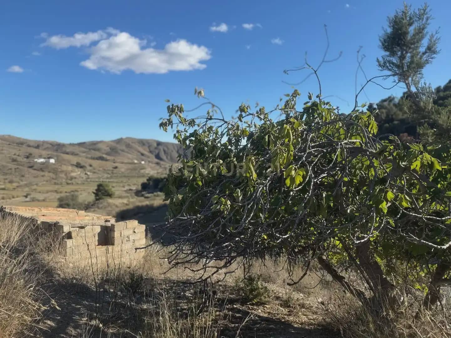 3 soverom Finca/Herregård til salgs i Velez-Rubio - € 99 900 (Ref: 9787579)