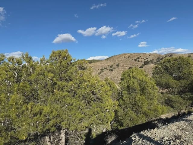 3 soverom Finca/Herregård til salgs i Vélez-Rubio - € 99 900 (Ref: 9787579)