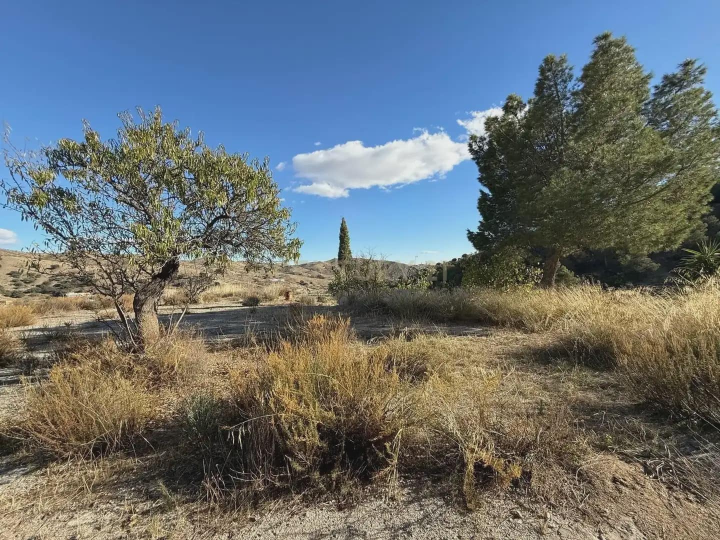 3 soverom Finca/Herregård til salgs i Velez-Rubio - € 99 900 (Ref: 9787579)