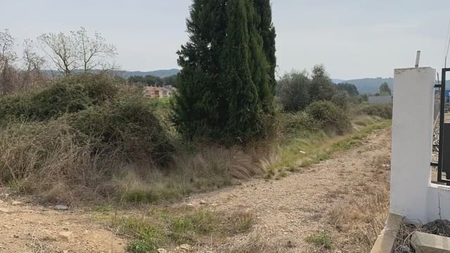 Landgrundstück zu verkaufen in Alcalà de Xivert pueblo, Alcalá de Xivert - 37.800 € (Ref: 10078609)