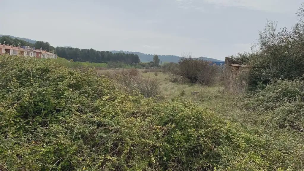 Terreno/Finca Rústica en Alcalá de Xivert en venta - 37.800 € (Ref: 10078609)