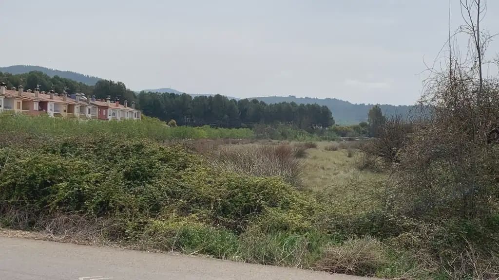 Terreno/Finca Rústica en Alcalá de Xivert en venta - 37.800 € (Ref: 10078609)