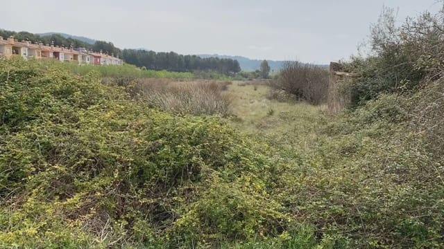 Landgrundstück zu verkaufen in Alcalà de Xivert pueblo, Alcalá de Xivert - 37.800 € (Ref: 10078609)